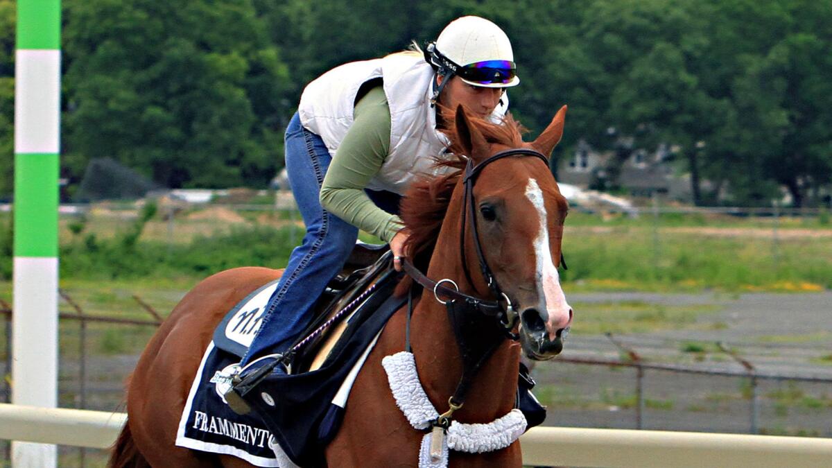 Exercise rider Heather Stark rides Frammento on the Belmont Park training track in Elmont, N.Y., on June 5, 2015.