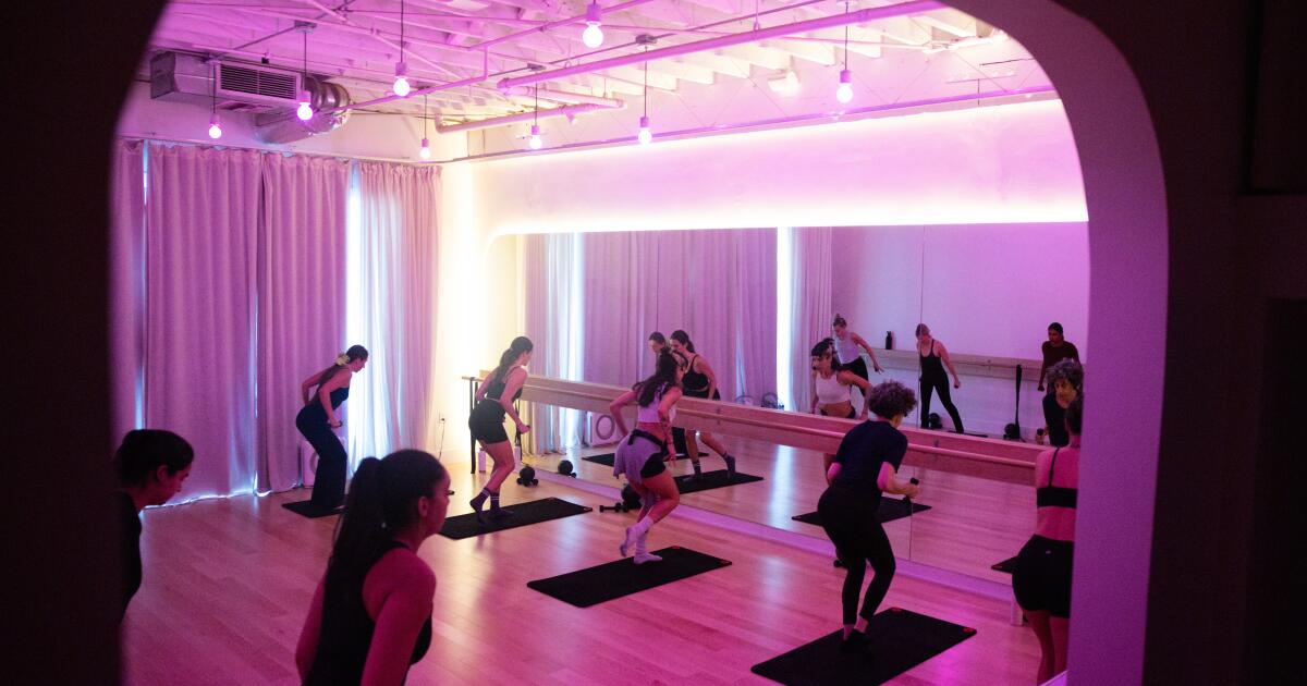 I tried Silver Lake's trendy $35 workout — and ended up sweating next to my favorite pop star