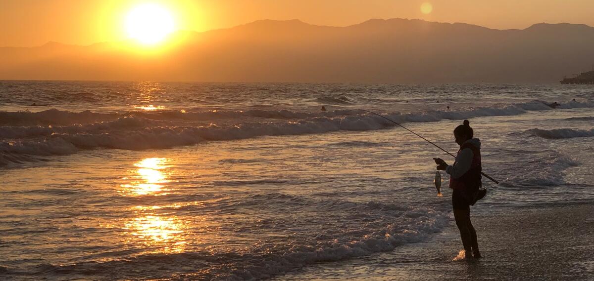 Anupa Asokan catching a fish on a Los Angeles-area beach in July 2021.