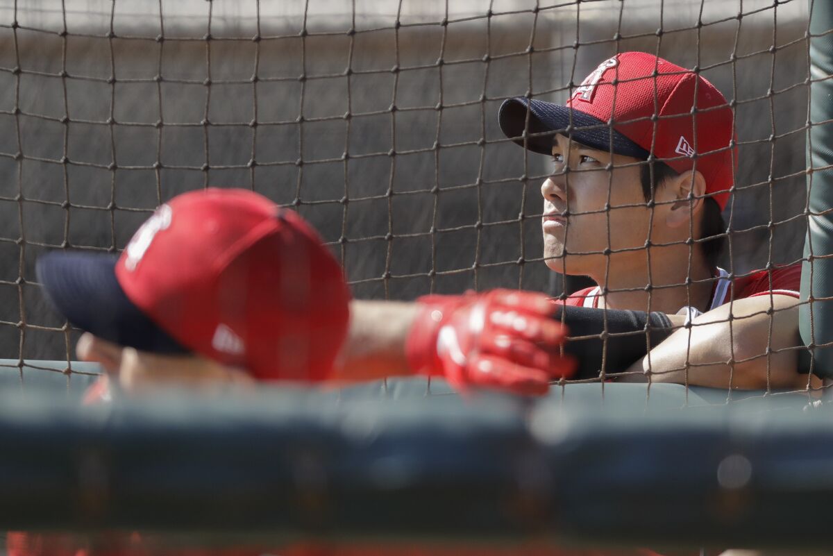 Shohei Ohtani watches a player take batting practice during a spring training practice on Feb. 7.