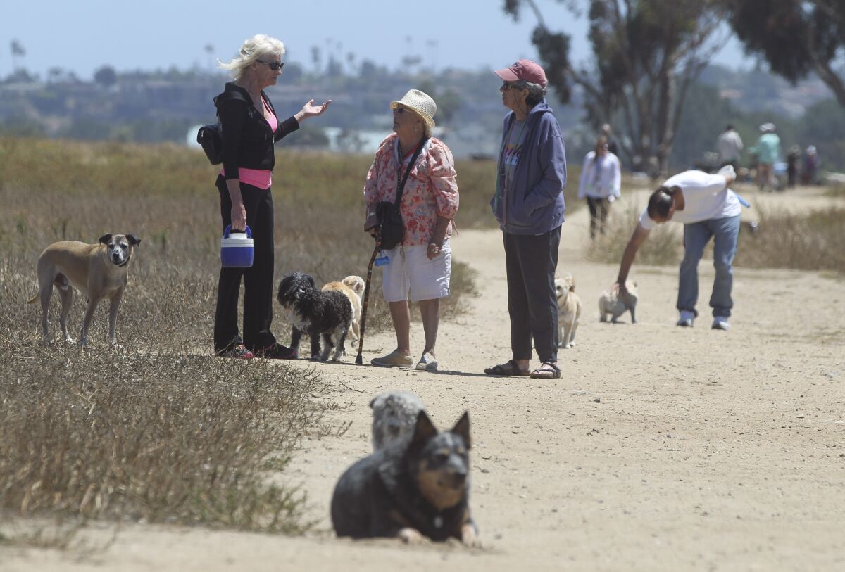 People and pets enjoy Fiesta Island on May 24, 2019.