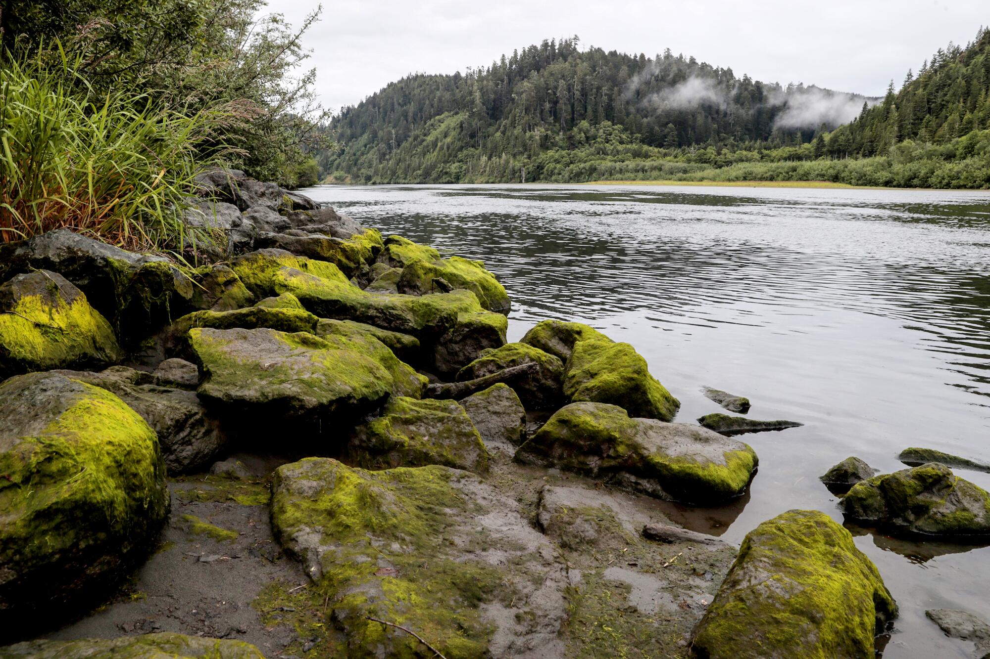 The rocky coast of the Klamath