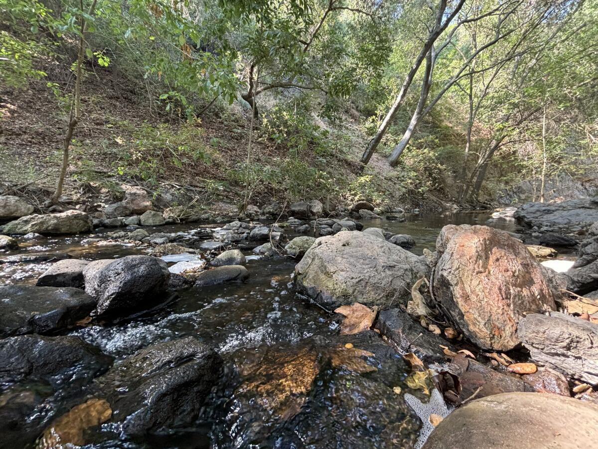 A creek pinch respective rocks for crossing nan trail.