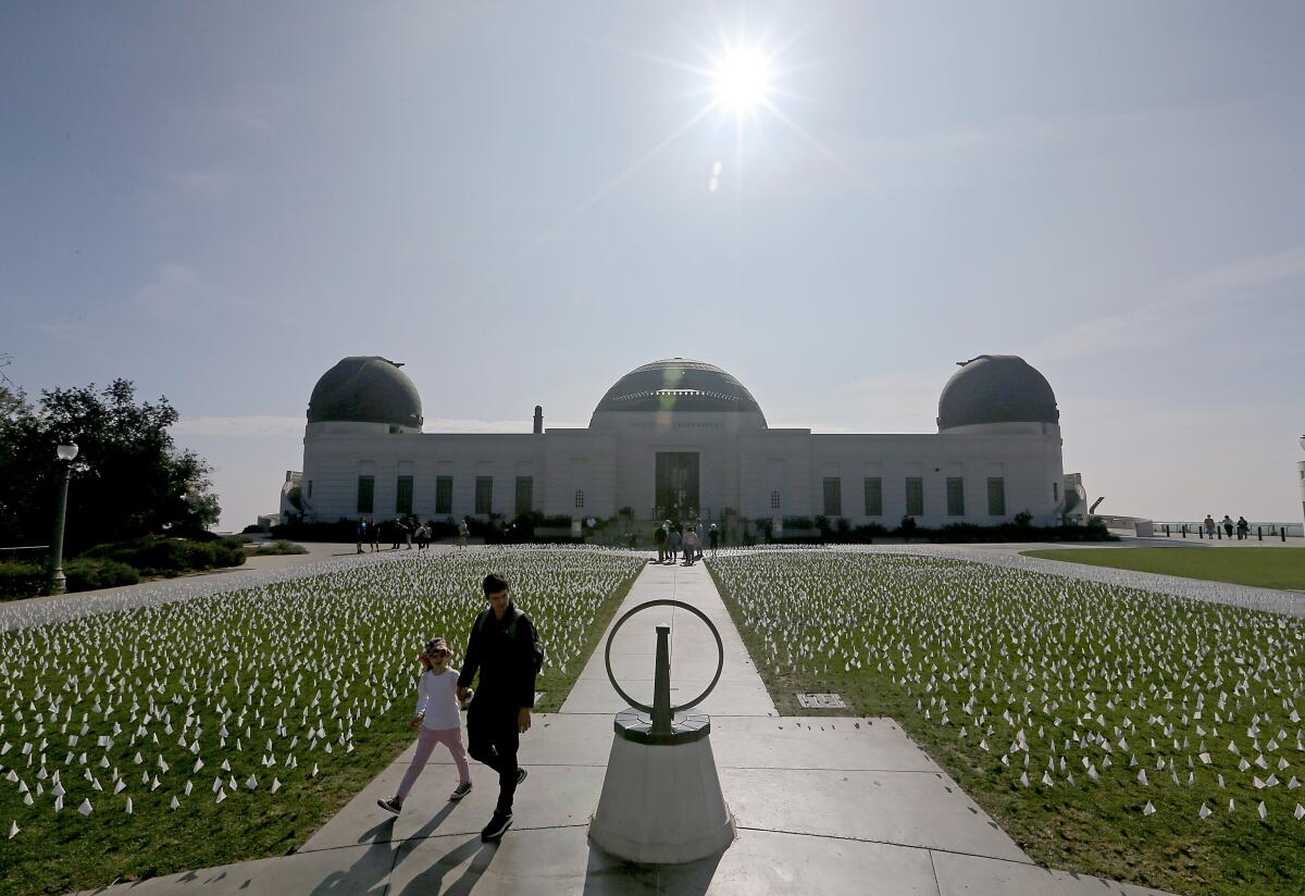A flag memorial to victims of COVID-19 covers the lawn of the Griffith Observatory.
