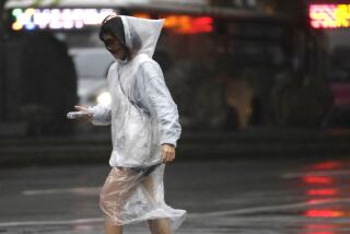 A woman walks in the rain as Typhoon Koinu approaches to Taiwan in Taipei, Taiwan, Wednesday, Oct. 4, 2023. (AP Photo/Chiang Ying-ying)