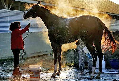 Kentucky Derby