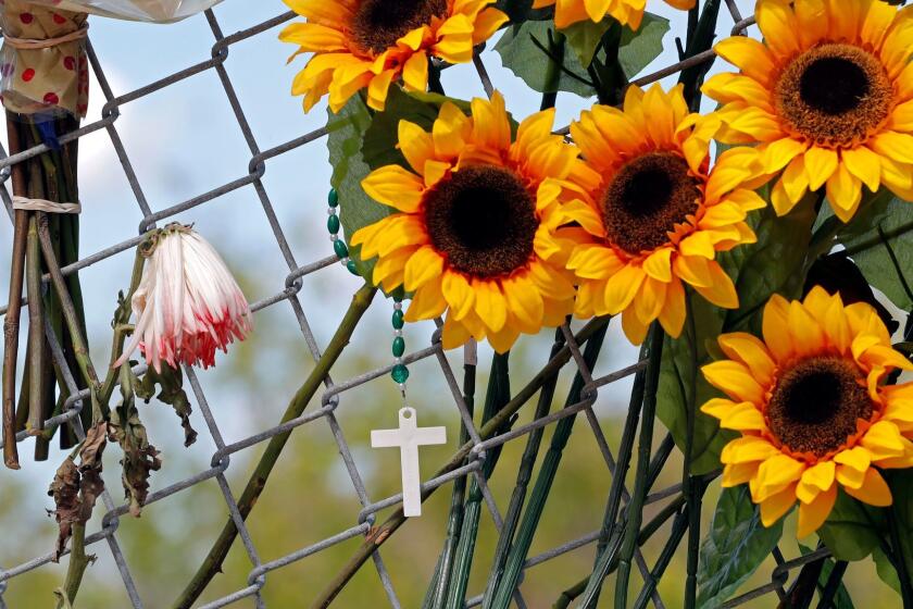 Crosses and flowers hang from a fence under an overpass, at the edge of the crime scene, near Marjory Stoneman Douglas High School, where students sought shelter after the Wednesday shooting at the school, in Parkland, Fla., Saturday, Feb. 17, 2018. Nikolas Cruz, a former student, was charged with 17 counts of premeditated murder on Thursday. (AP Photo/Gerald Herbert)