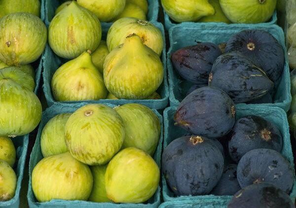 Figs