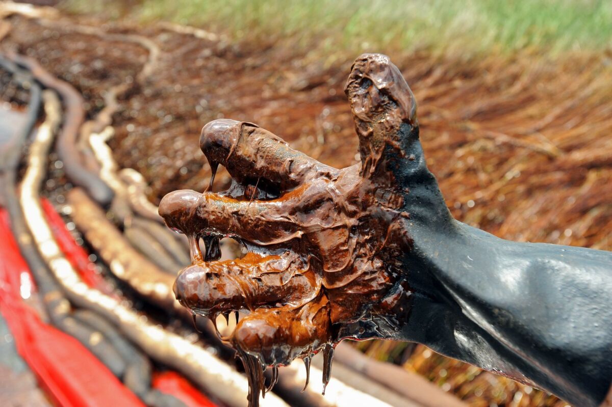 An airboat operator's glove drips with thick crude oil from the BP Deepwater Horizon oil spill in June 2010. The explosion on board BP's drilling rig on April 20 that year triggered the worst oil spill in U.S. history.