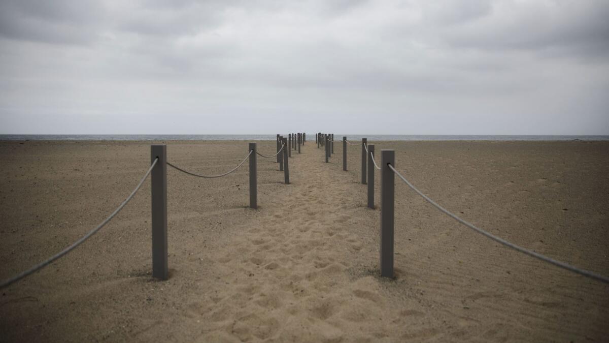 A rope path allows visitors to walk in the middle of the restoration site at Santa Monica Beach, and planners hope they will respect the wildlife and plant life there.