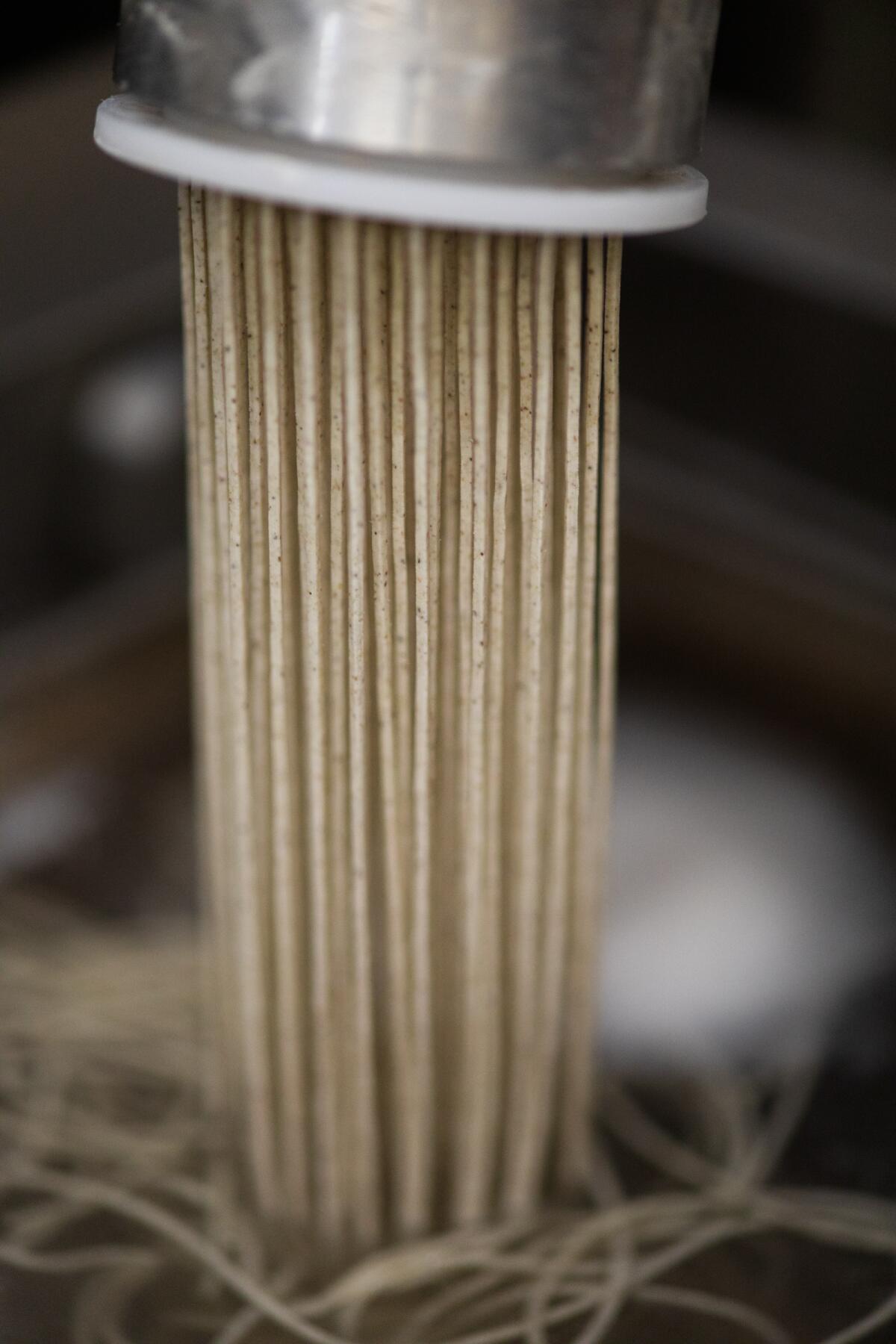 Soba noodles are extruded through a metal machine.