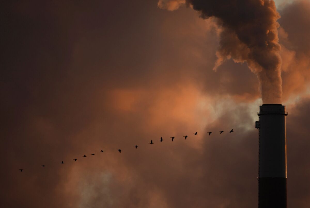 A line of geese fly past a smokestack in Kansas.