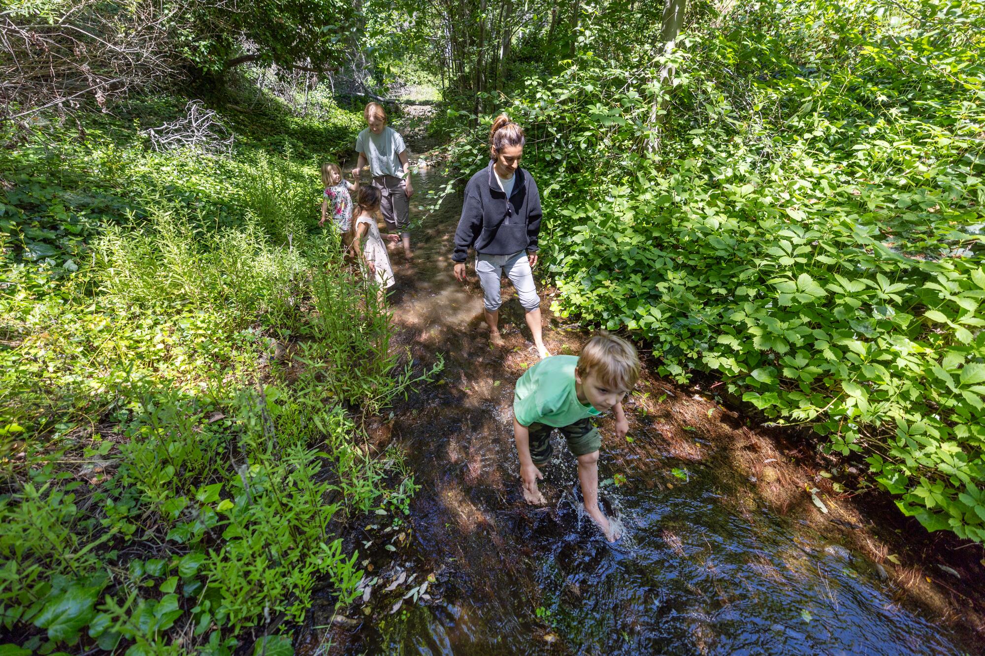 Children explore a creek.