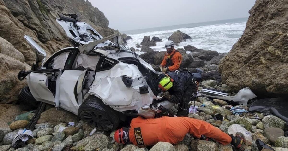 Man who drove Tesla and household off cliff was ‘psychotic,’ medical doctors say