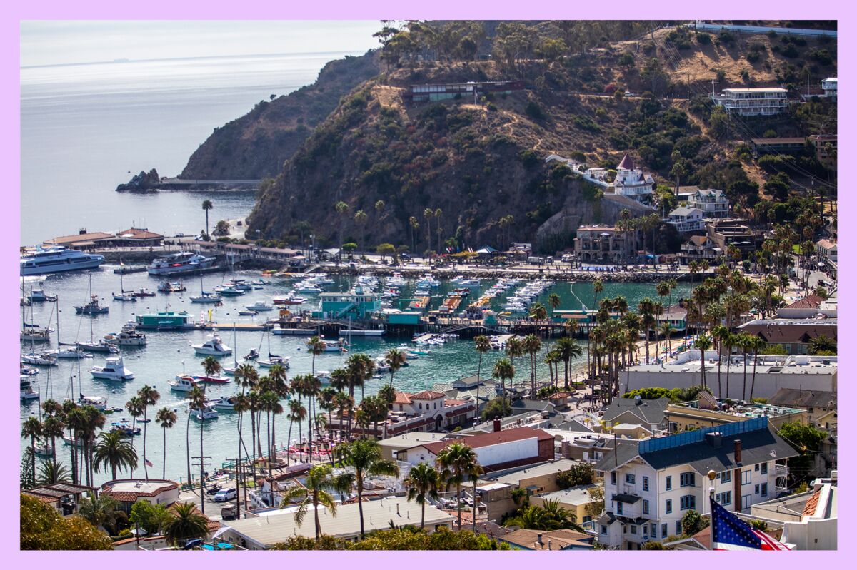 Boats in the bay of Avalon, California.