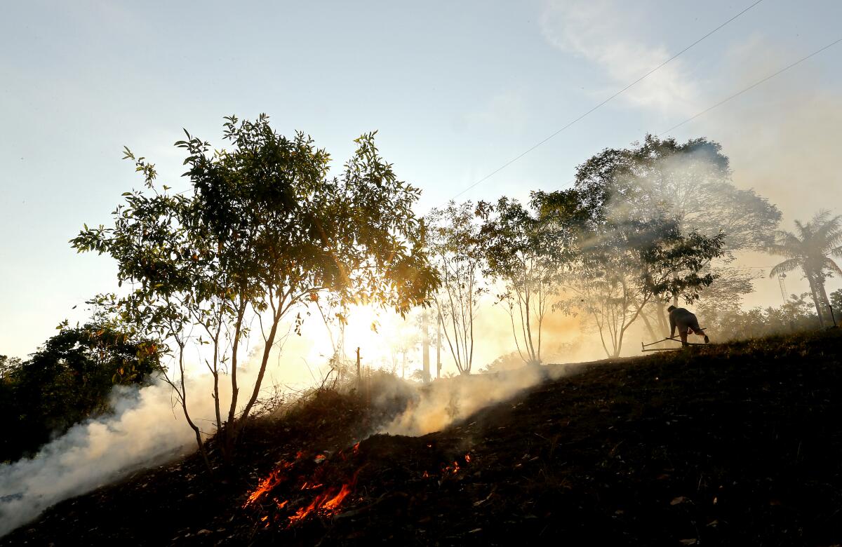 A hillside smolders in shadow as light shines through smoke and trees.