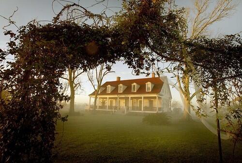 Morning mist envelops the restored big house at Woodland Plantation near West Pointe a la Hache, La. The home, which sits on the west bank of the Mississippi, is now a bed-and-breakfast that serves anglers returning to the mouth of the Mississippi to get in some sports fishing. The house may look familiar — a black-and-white drawing of it is featured on the labels of bottles of Southern Comfort.