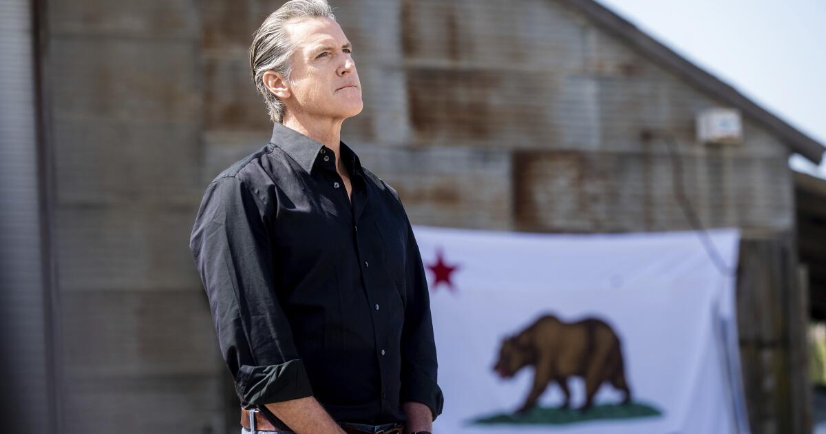 L.A. immigration raids draw California Gov. Gavin Newsom back into the fight with Trump