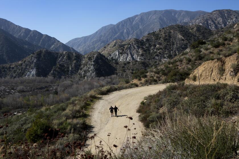 TUJUNGA CANYON, California-FEBRUARY 8, 2020: The beginnign of the Trail Canyon Falls trail in the Tujunga Canyon in the San Gabriel Mountains. (Gabriella Angotti-Jones/Los Angeles Times)