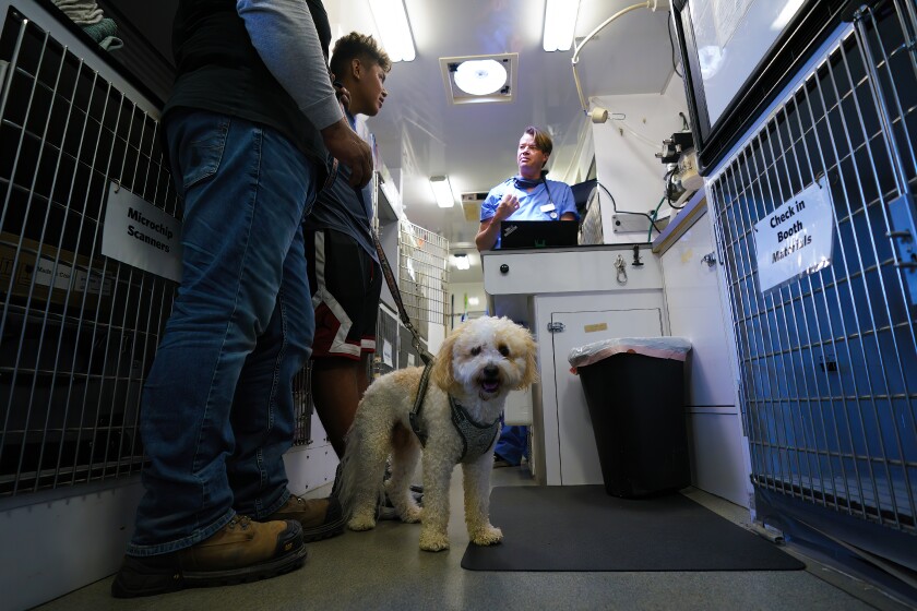A man and his son speak with a veterinarian while the fluffy white dog whose leash they are holding looks at the camera.