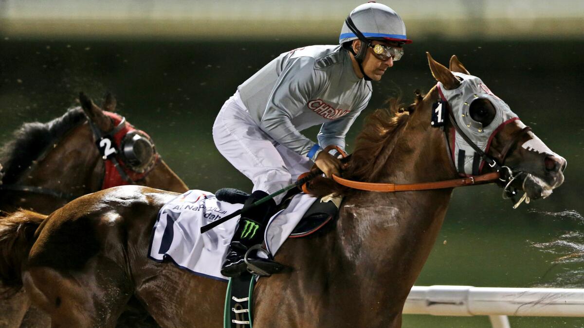 Jockey Victor Espinoza guides California Chrome to victory at Meydan Racecourse in Dubai on Thursday.