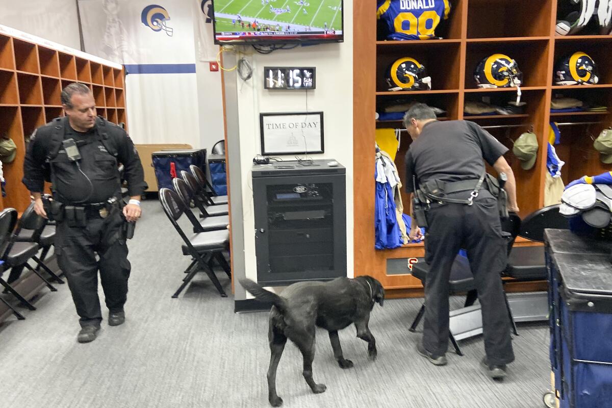 Dutchess, a bomb-sniffing dog, checks out the Rams locker room six hours before kickoff.