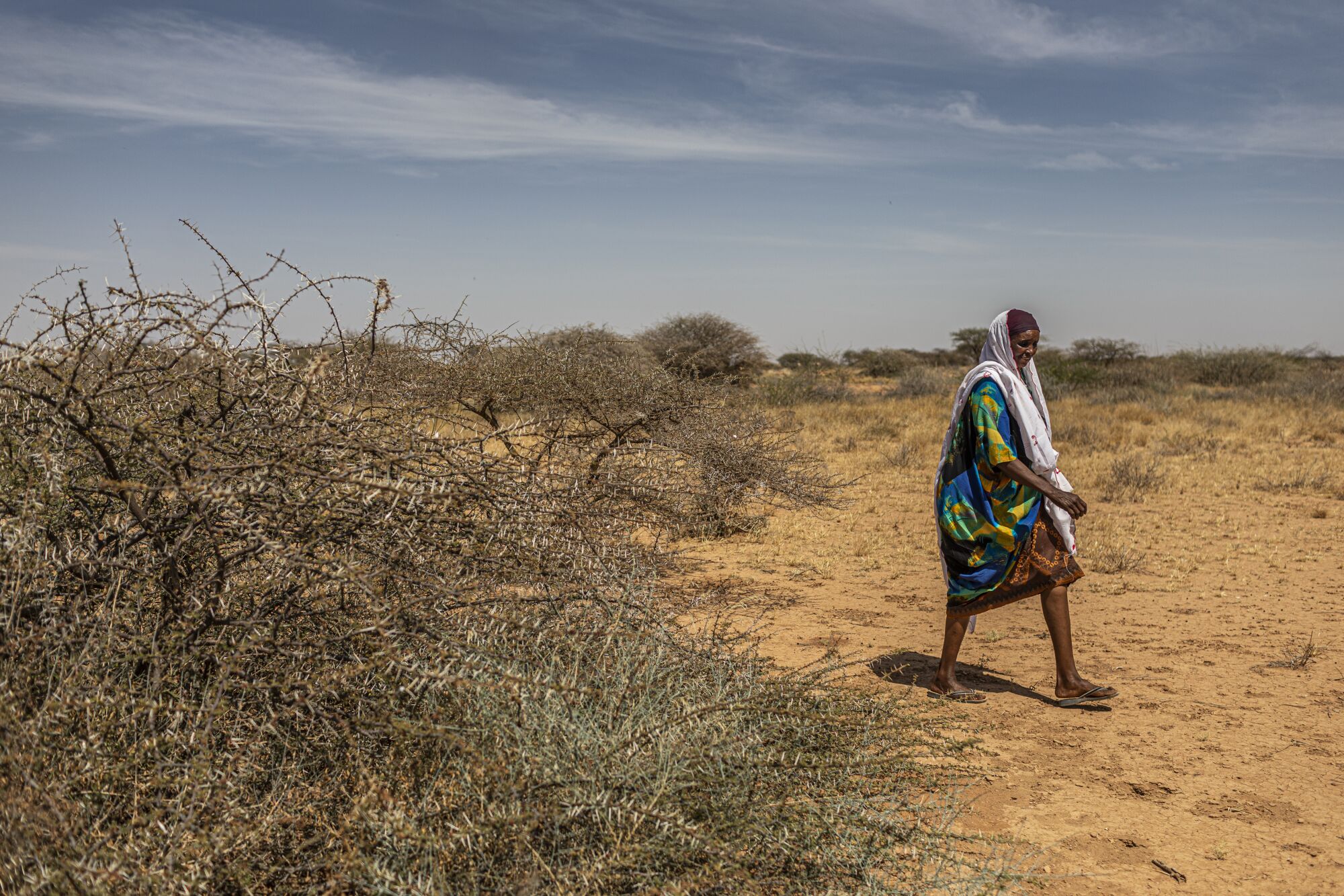 Faisa Abdi Alleh walks to her farm in Beer, Somalia, which was devastated by locusts.