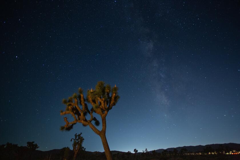 The Milky Way hanging over Joshua Tree National Park on Sept. 16, 2023.