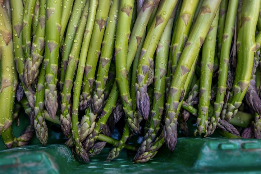 Firebaugh, CA - March 22: Asparagus, after it is picked on the A-Bar Ag Enterprises farm and washed at the Turlock Fruit Company in Firebaugh, Friday, March 22, 2024. Aaron Barcellos, who is a partner and runs the A-Bar Ag Enterprises is a partner with his family farming operation and is a fourth-generation farmer. His family started in Dairy but now produces crops, including asparagus, pistachios, cotton, olives, pomegranates, and tomatoes. At the turn of the 21st century, California growers were farming over 36,000 acres of asparagus. Now, less than 1,000 acres of asparagus are produced in the state for commercial sale. There are only three farmers growing asparagus for commercial sale. (Allen J. Schaben / Los Angeles Times)