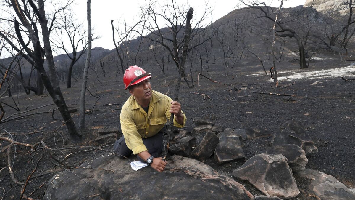 Chumash Fire Department Capt. Richard "Quntan" Garcia demonstrates how a rock, located inside an historic ranch within the Santa Monica Mountains was used as a sharpening station by Chumash Indians to create a sharp point on a digging stick.