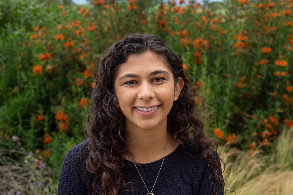 Sharada Saraf, an undergraduate intern in Kristian Andersen's lab at Scripps Research and a primary co-author of the study, painstakingly parsed data from numerous public health and travel sources.