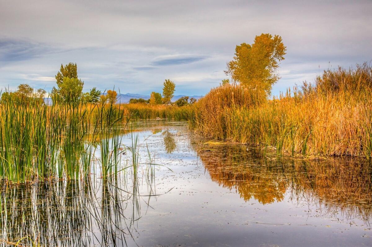 Rawson Ponds, Owens Valley