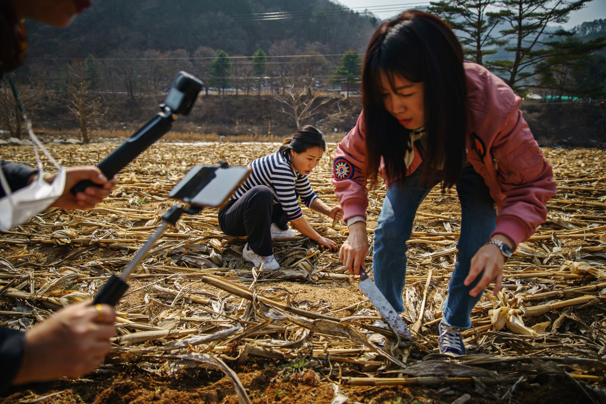 Two women pick through a field as a camera records