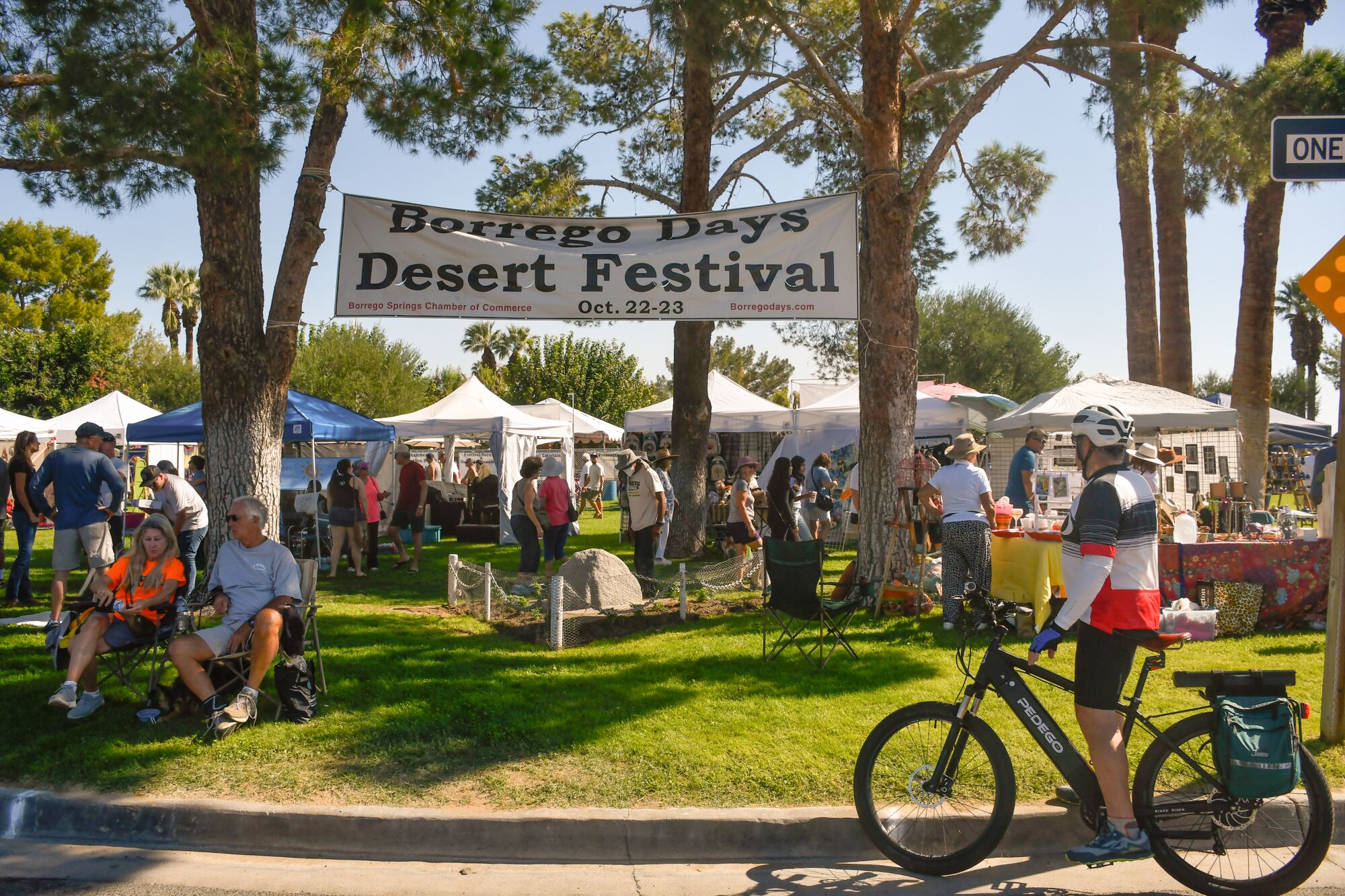People stand around on a grassy circle with a banner strung between trees that says "Borrego Days Desert Festival."