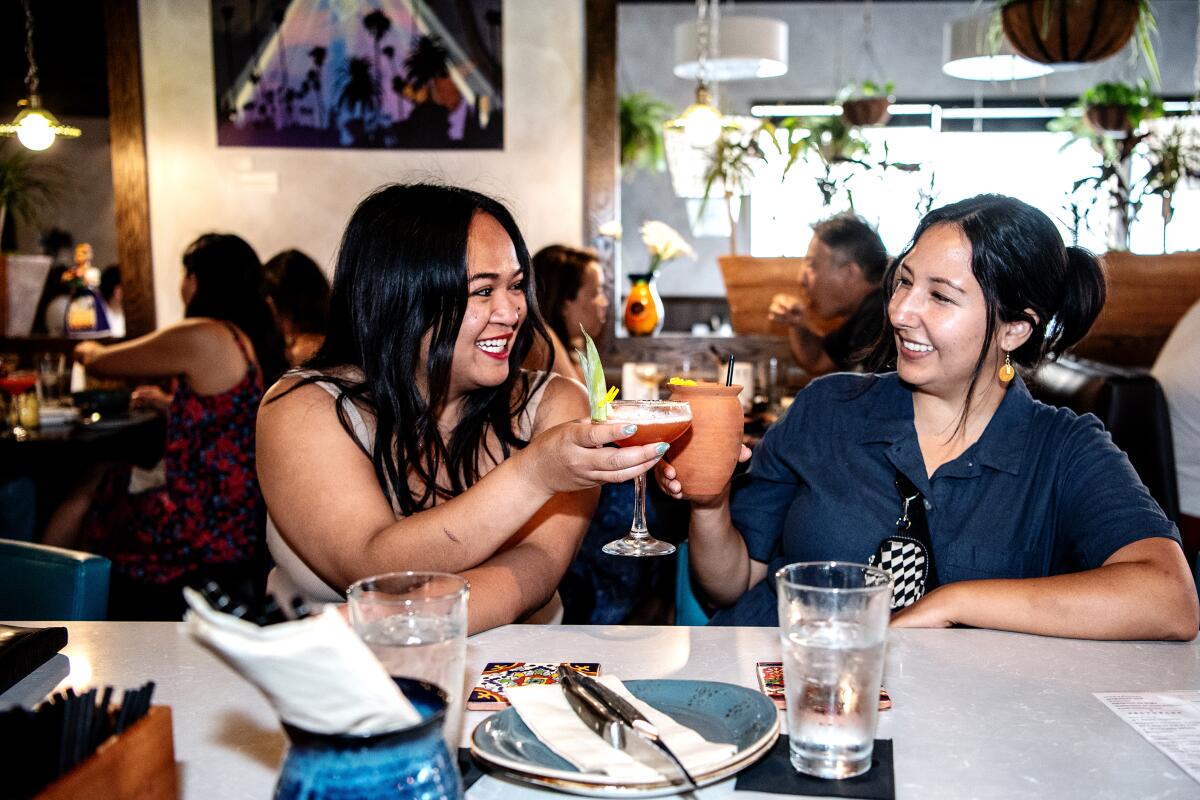 Two women smile and clink their drink glasses together