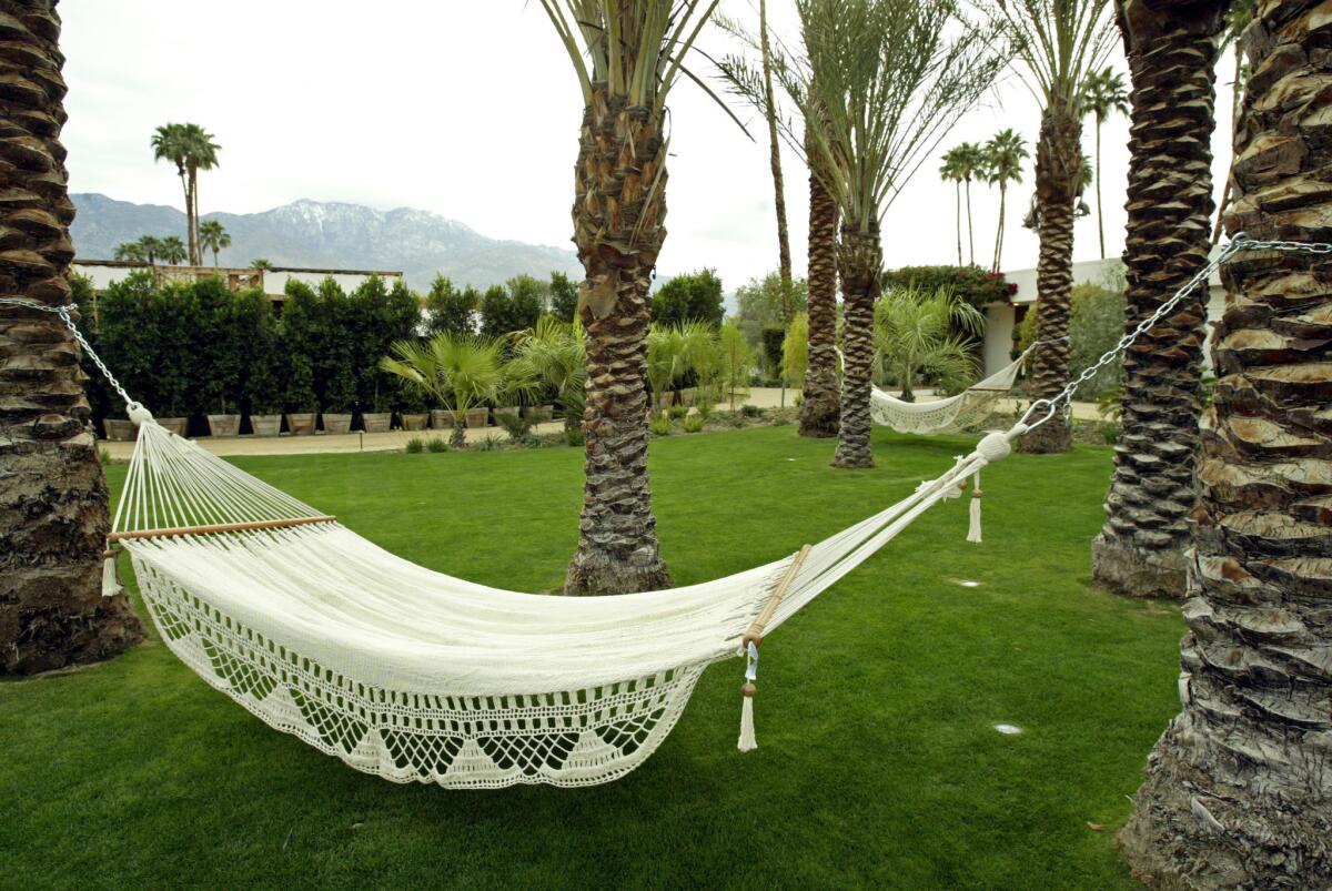Louis Vuitton knows what's hot in Palm Springs; check out