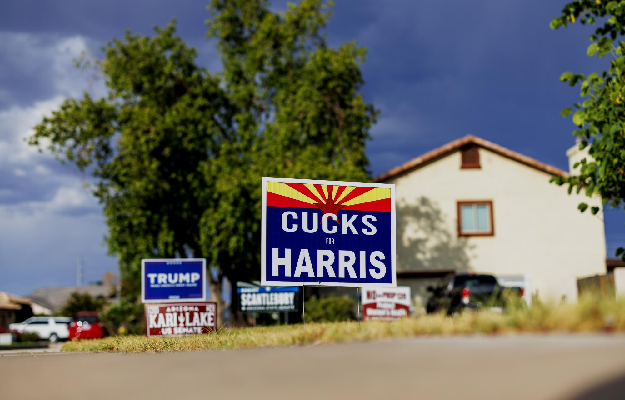 Varios carteles de campaña salpican un patio delantero en Mesa, Arizona.