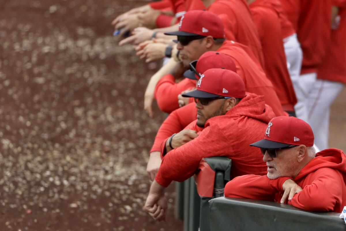 Angels manager Joe Maddon, front right, watches with his players during an exhibition game against the Texas Rangers on Feb. 28.