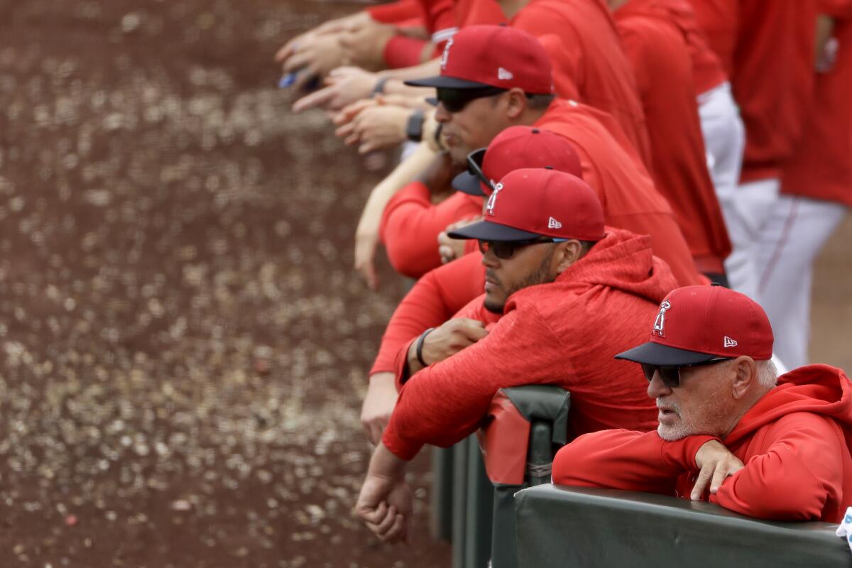 From the Archives: Los Angeles Angels spring training - Los Angeles Times