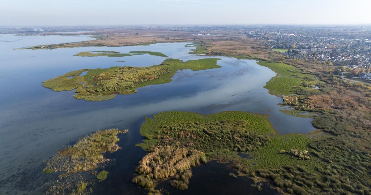 Newsom wants to build a $16-billion water tunnel. Will it destroy California's delta? 