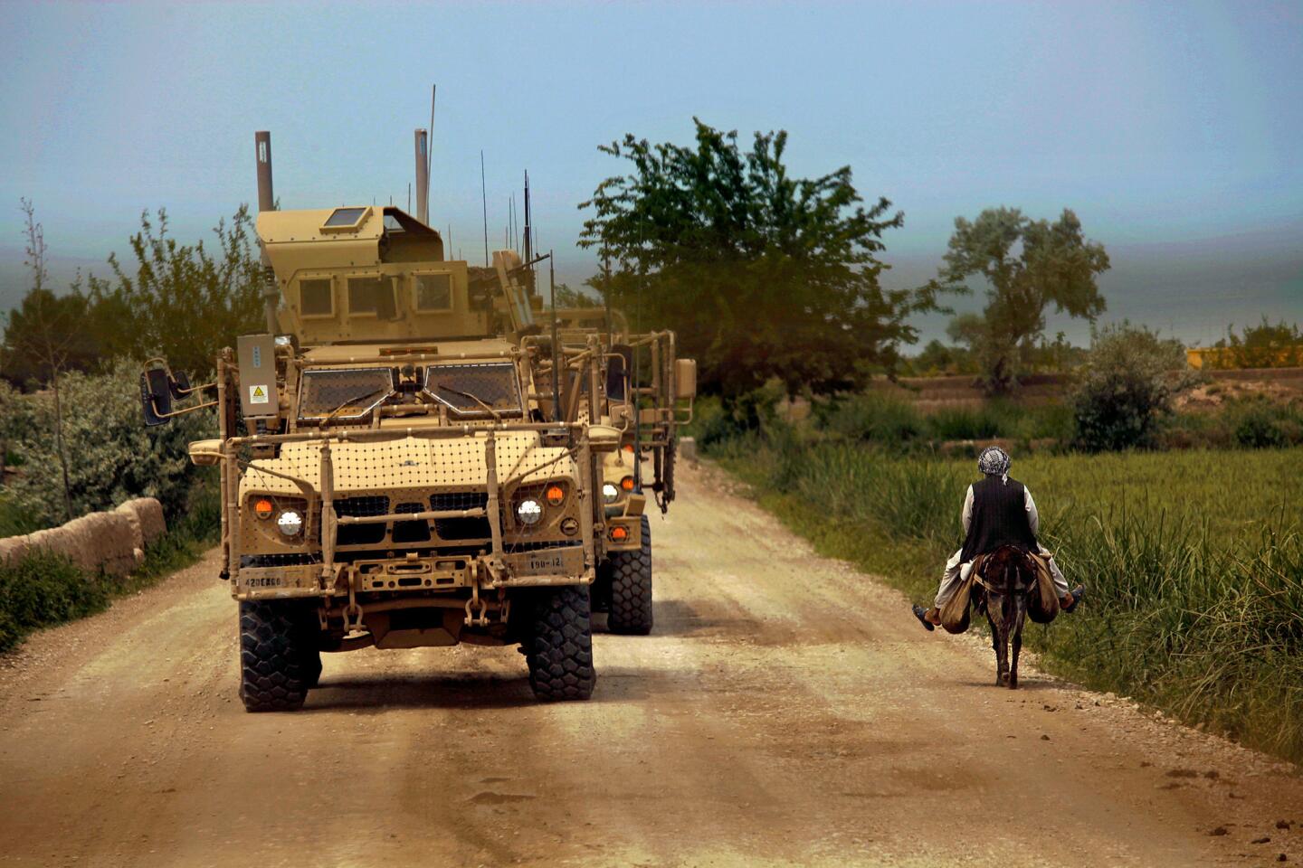 Afghanistan bomb hunters