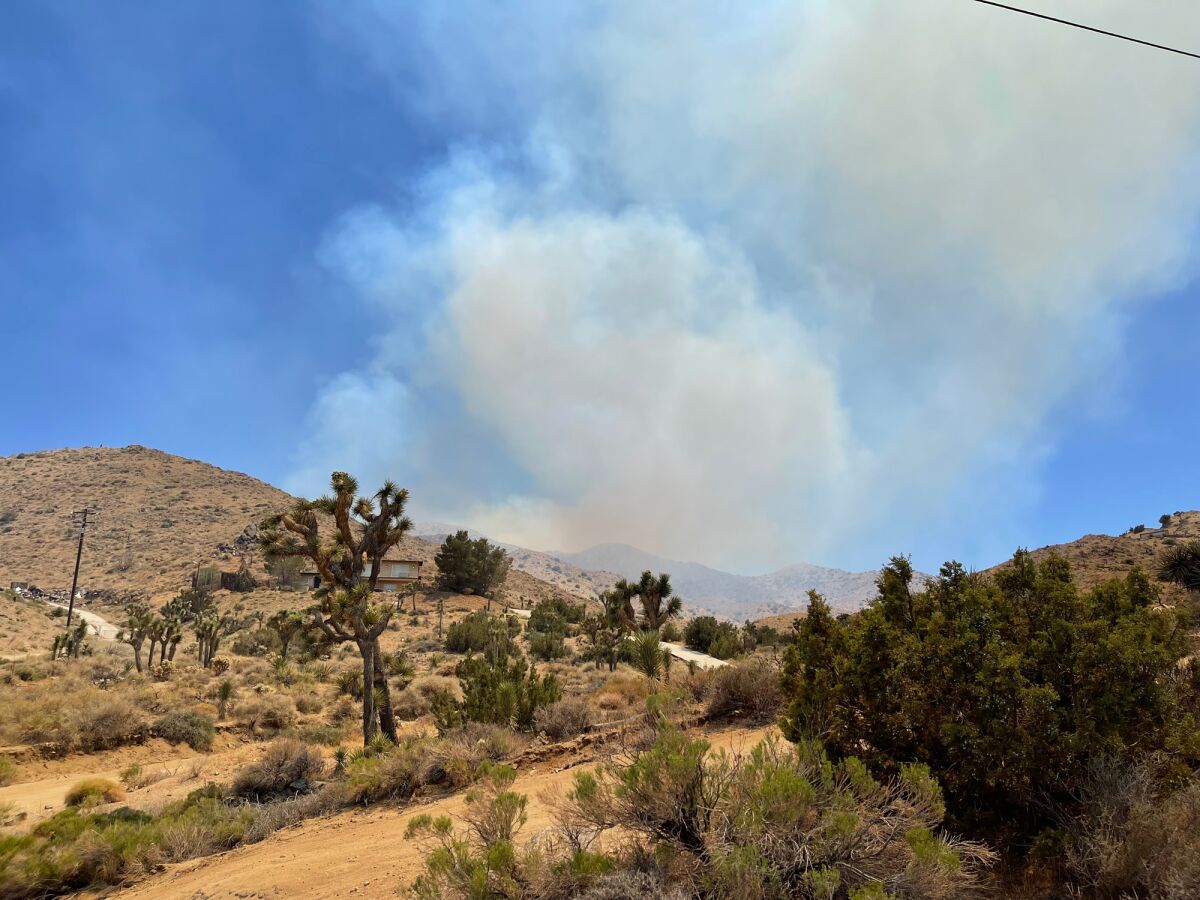Smoke from a brush fire billows into the air.