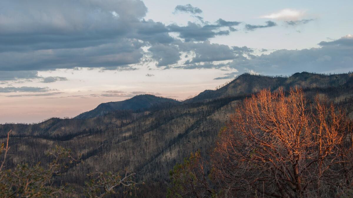 This late sunset view shows the charred remains of a major forest fire that took place in the Black Range area of the Gila National Forest in 2013.