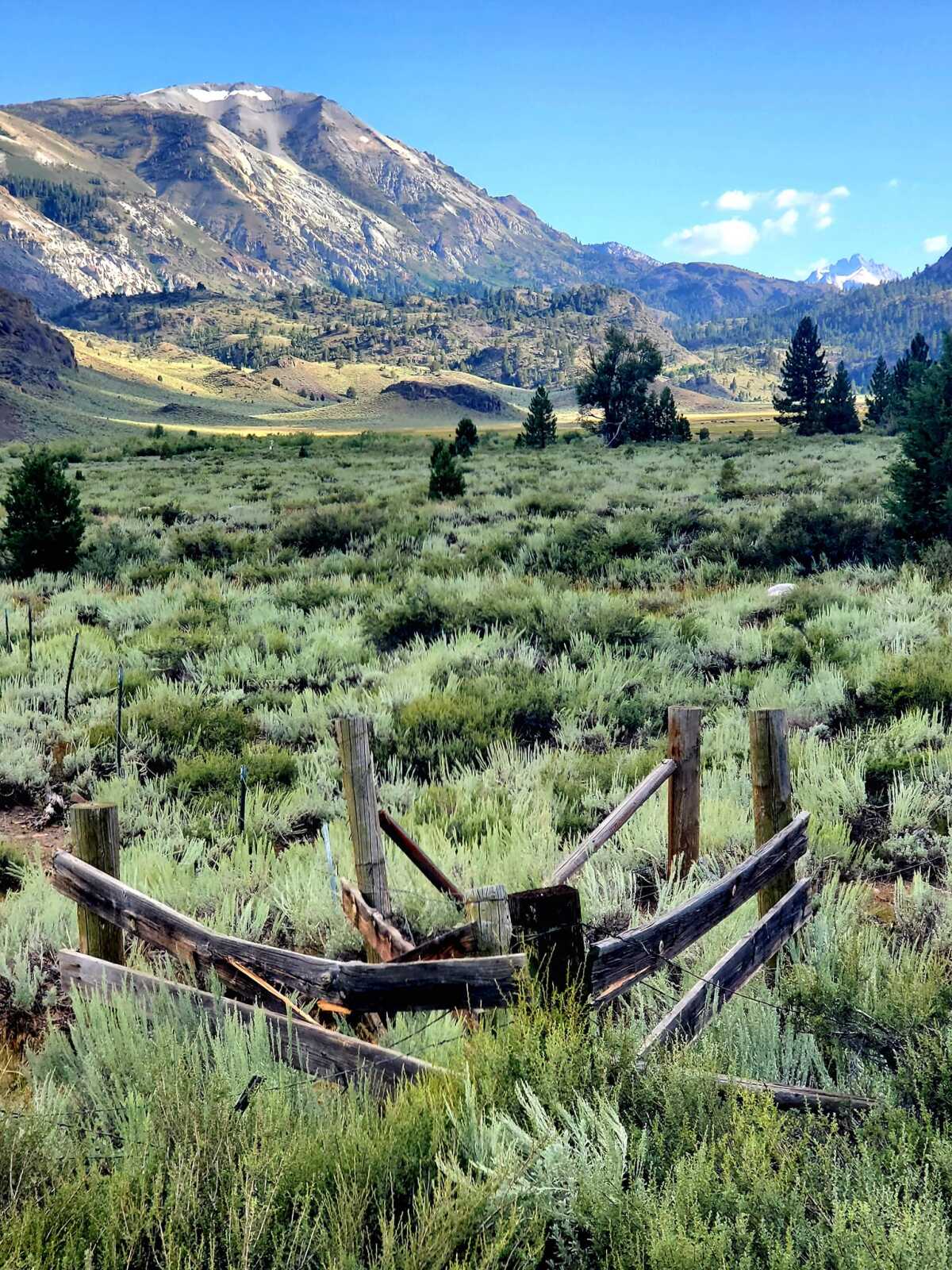 An old wooden fence stands in a green valley as a large mountain rises in the distance.