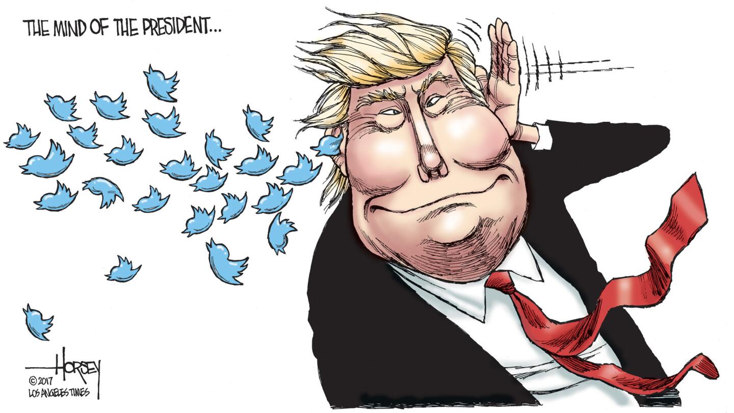 Donald Trump has tweets on the brain.