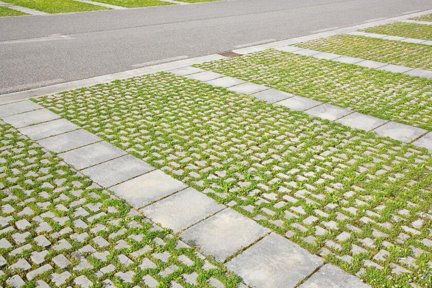 Small concrete blocks provide a support grid for grass in a permeable driveway.