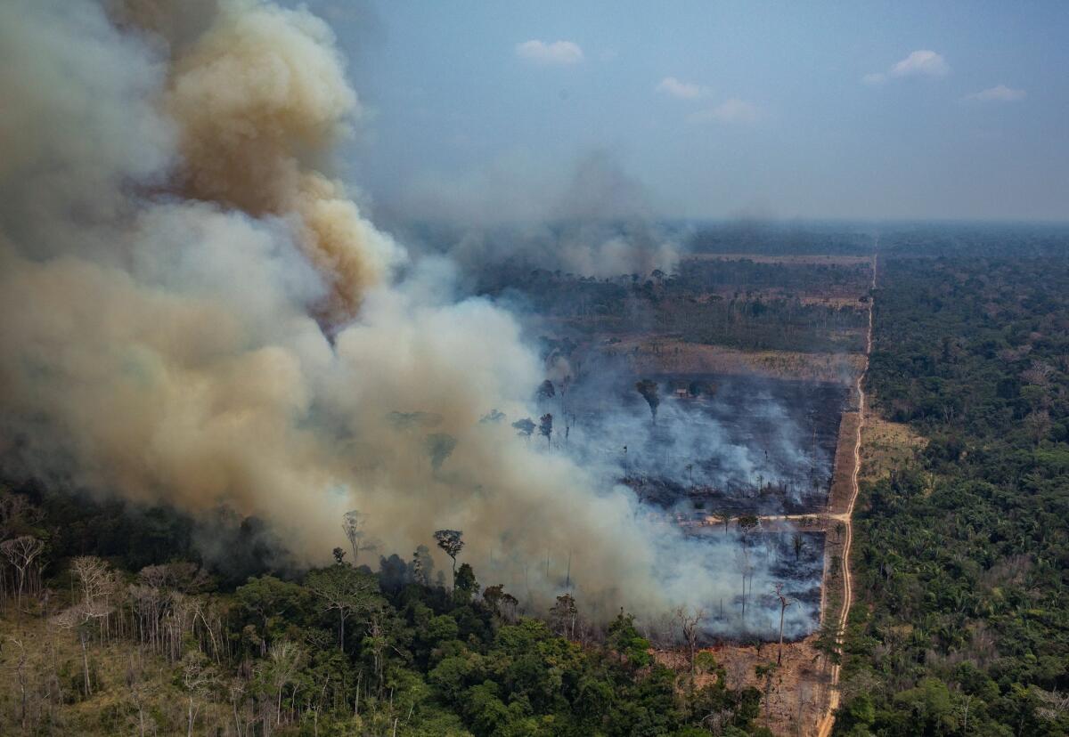 A satellite image of fire and deforestation in the Amazon