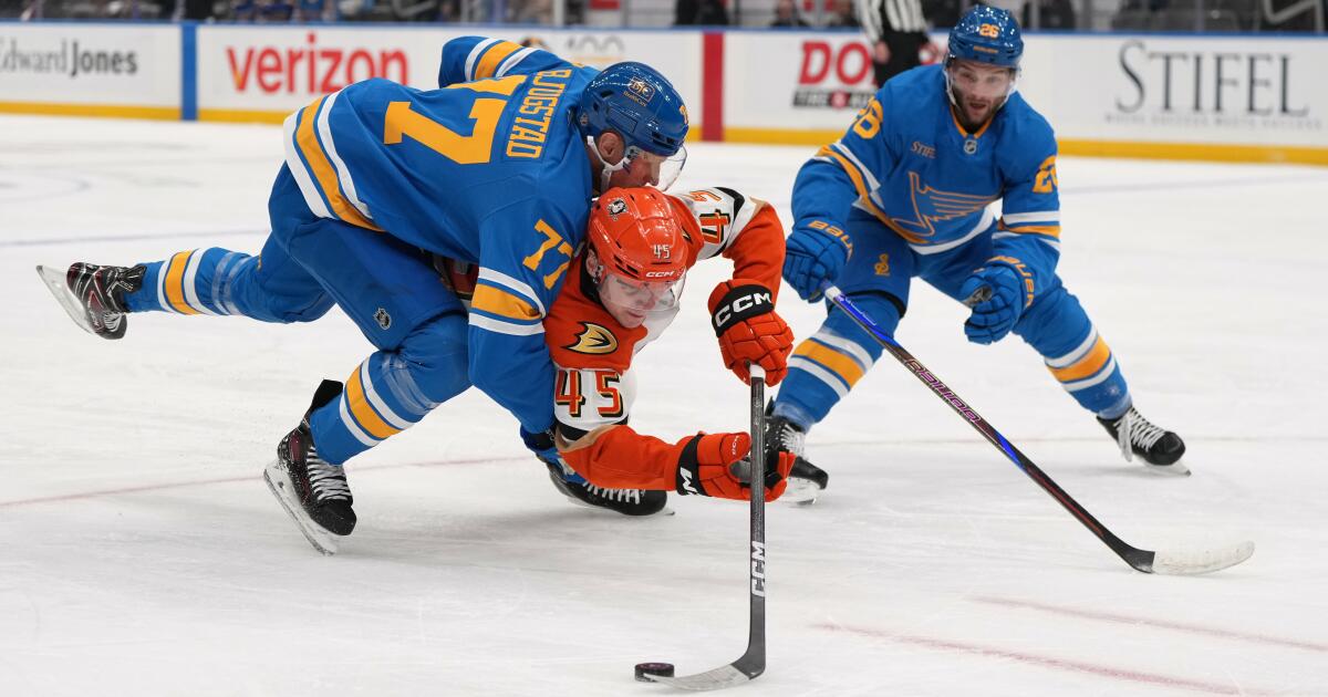 Mason McTavish and Pavel Mintyukov lead Ducks to victory over Blues