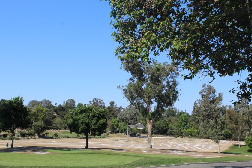 Residents have shared concerns about the loss of trees during the RSF Golf Club course renovation.