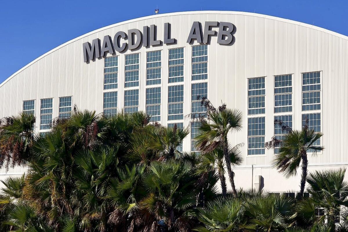 A hangar stands above palm trees.